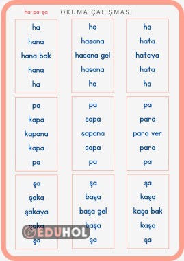 Okuma Çalışması Basara Tüm Heceler