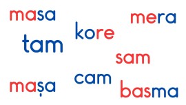 Basara Yöntemi 2. Kitap 1. Bölüm Kelimeler Sunu