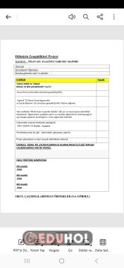 Faailiyet raporu nisan ayı dilimizin zenginlikleri projesi