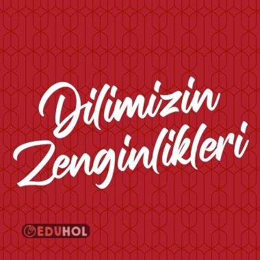 Lise Dilimizin zenginlikleri projesi uygulama kılavuzu