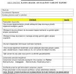 KASIM-ARALIK  AYI OKUL ÖNCESİ  KADEMESİ PROJE FAALİYET RAPORU