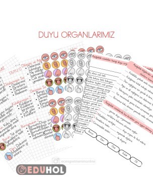 3. Sınıf Fen Bilimleri Duyu Organlarımız