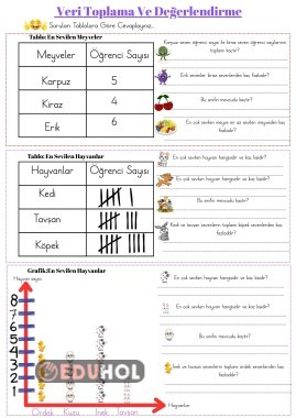 Veri Toplama Ve Değerlendirme