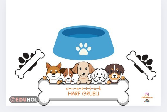 K sesi köpek ve kemik