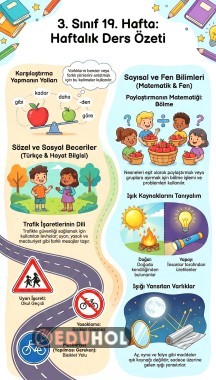 3. Sınıf 19. Hafta Tüm Konular İnfografik Döküman