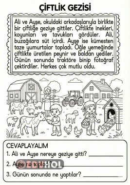 Oku Anla Cevapla Çalışması