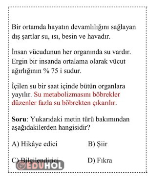4. Sınıf Türkçe Test Diyarı