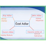 Yüzde Yüz Tavsiyeli Özel Notlarım