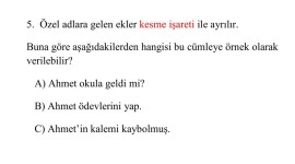 2. Sınıf Türkçe Test