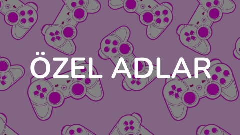 Özel Adlar