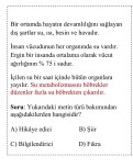 4. Sınıf Türkçe Test Diyarı