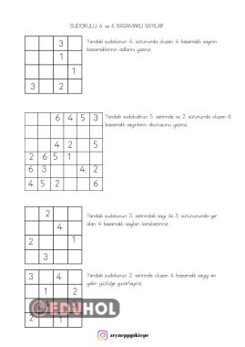 4,6 basamaklı sayılarla sorular