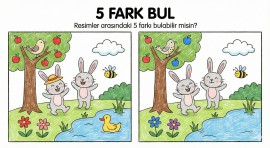 5 farkı bul