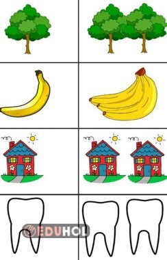 Tekil Ve Çoğul Adlar