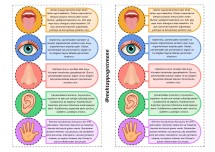 BEŞ DUYU ORGANLARIMIZ 🌼