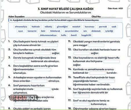 Hayat Bilgisi - Okuldaki Haklarım ve Sorumluluklarım Etkinlik Kağıdı