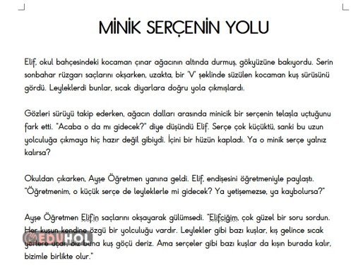 Okuma-Anlama Metni - Metin Soruları ile Birlikte