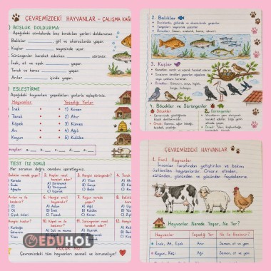 1.SINIF ÇEVREMİZDEKİ HAYVANLAR  DEFTER NOTU VE ÇALIŞMA KAĞIDI