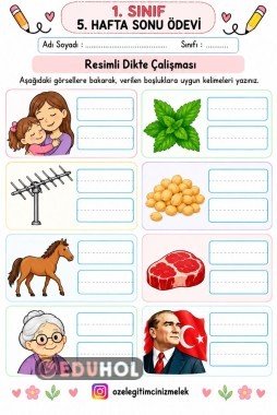 1 SINIF T Resimli DİKTE  ÇALIŞMASI