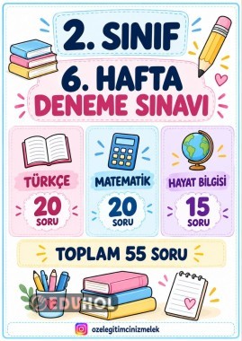 2. Sınıf 6. Hafta Genel Değerlendirme Testi | Tüm Dersler | Cevap Anahtarlı PDF