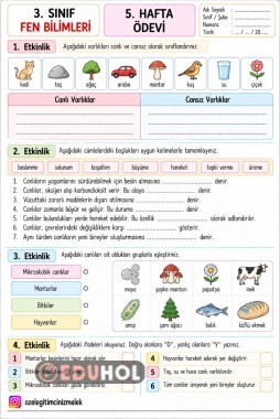 3. SINIF FEN BİLİMLERİ CANLILARIN DÜNYASI ÇALIŞMA KAĞIDI