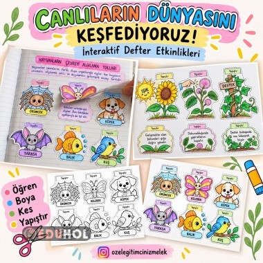 🌿🦋 3. SINIF FEN BİLİMLERİ | CANLILARIN DÜNYASINI KEŞFEDİYORUM! 🔬🌸
