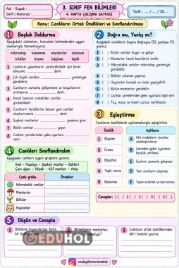 3. SINIF FEN BİLİMLERİ CANLILARIN ORTAK ÖZELLİKLERİ VE SINIFLANDIRILMASI ÇALIŞMA KAĞIDI