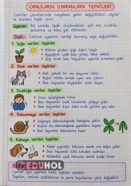 3. SINIF FEN BİLİMLERİ CANLILARIN UYARANLARA TEPKİLERİ DEFTER NOTU VE ÇALIŞMA KAĞIDI