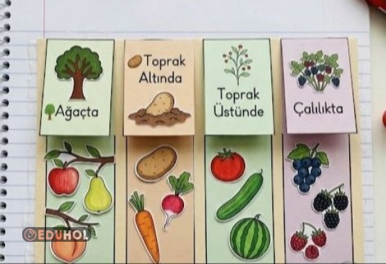 3. Sınıf Hayat Bilgisi dersi için “Meyve ve Sebzelerin Yetiştirilme Alanları