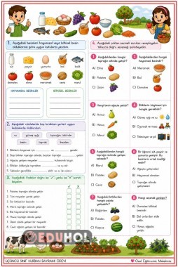3. SINIF HAYAT BİLGİSİ MEYVE VE SEBZELER