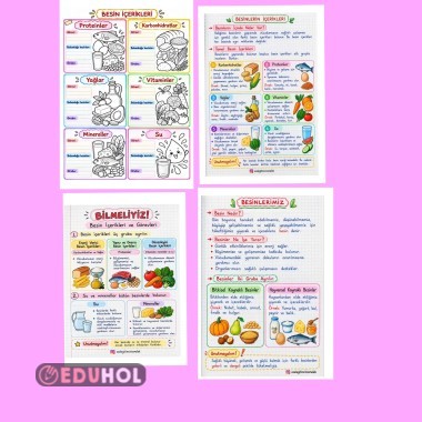 4. Sınıf BESİN İÇERİKLERİ defter notu