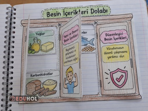 📚 4. SINIF FEN BİLİMLERİ | BESİN İÇERİKLERİ