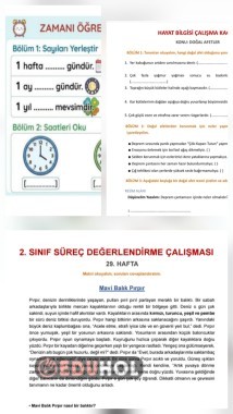 Haftanın Yeni Etkinlikleri Geldi! 🎉🐟