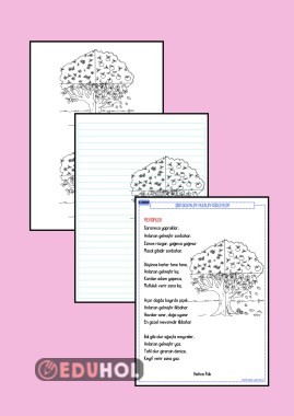 MEVSİMLER ŞİİRİ OKUMA YAZMA ETKİNLİĞİ