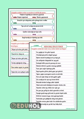 NEDEN SONUÇ CÜMLESİ ETKİNLİĞİ