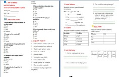 Fen Bilimleri MADDEYİ TANIYALIM TEMA SONU DEĞERLENDİRME ÇALIŞMASI