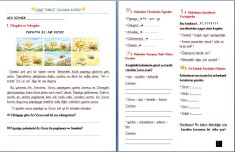 TÜRKÇE ÇALIŞMA KAĞIDI