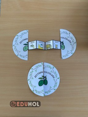 Üretim Dağıtım Tüketim Zeytinin Yolculuğu