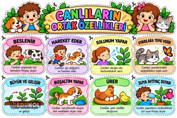 Canlıların Ortak Özellikleri