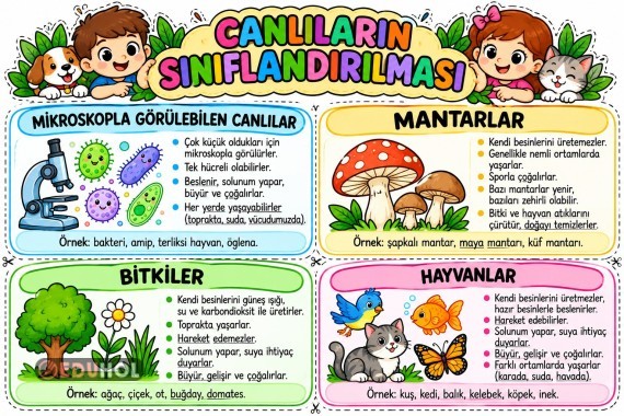 Canlıların Sınıflandırılması