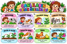 Canlıların Ortak Özellikleri