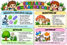 Canlıların Sınıflandırılması