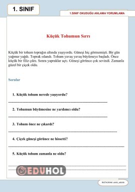 1 sınıf okuduğunu anlama yorumlama etkinliği