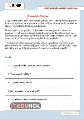 🔵1 sınıf okuduğunu anlama yorumlama etkinliği