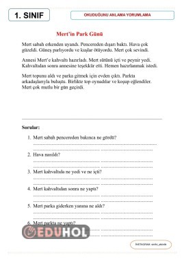 Okuduğunu anlama yorumlama 2
