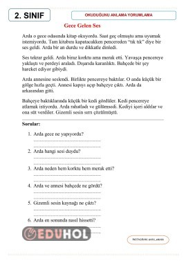 Okuduğunu anlama yorumlama etkinliği