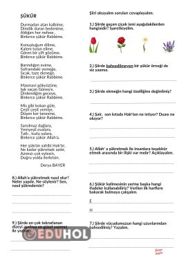 Okuduğunu anlama ( Şükür şiir)