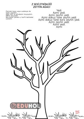 Z sesi zeytin ağacı