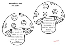 M sesi okuma