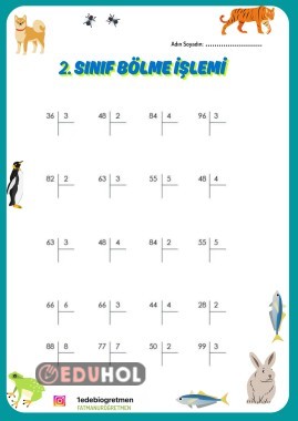 2. Sınıf Bölme işlemi